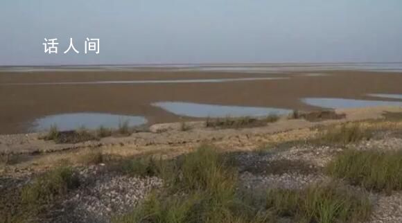 鄱阳湖已不足1000平方公里 鄱阳湖通江水体面积缩