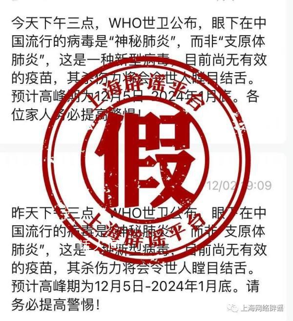 <b>世界卫生组织称有“神秘肺炎”?相关内容系谣言</b>