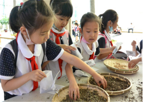 天士力大康健城景区倾力打造中医药文旅新IP