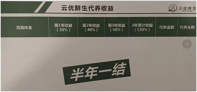 四川云优鲜生农业产品企业：以代饲养种猪之名宣布向广大群众募资