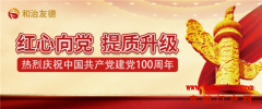 和治友德进行庆祝中国共产党创立100周年专题党史进