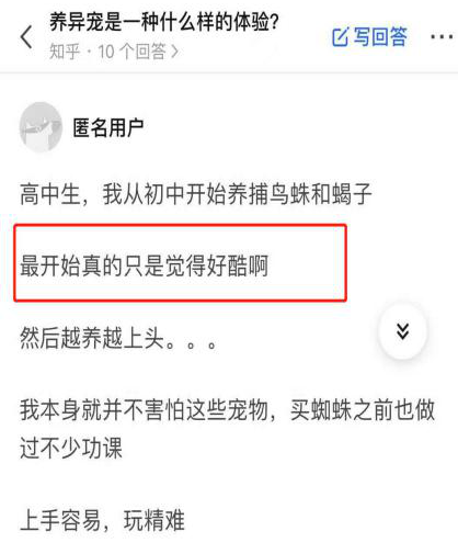 现代人的奇异“朋侪”：小众宠物亚文化的风行