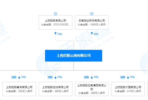 上药控股普洱有限公司违法销售“劣药”山茱萸（山萸肉） 被罚