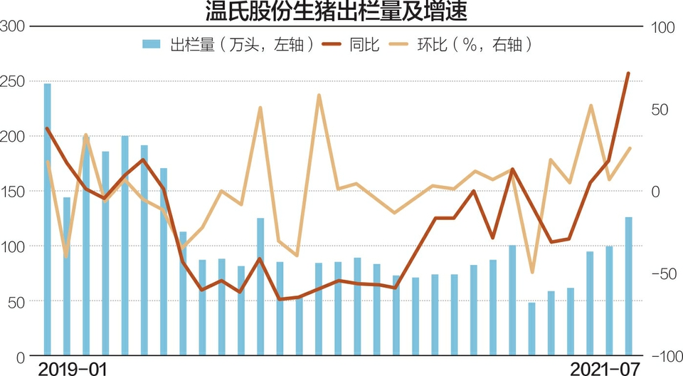 猪周期大退潮下影响迥异：温氏股份半年稀有吃亏近25亿元 牧原股份估量盈利最高深百亿