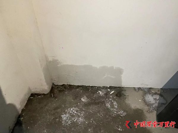 北京中海望京府南区外墙渗漏 打胶修复惹不满