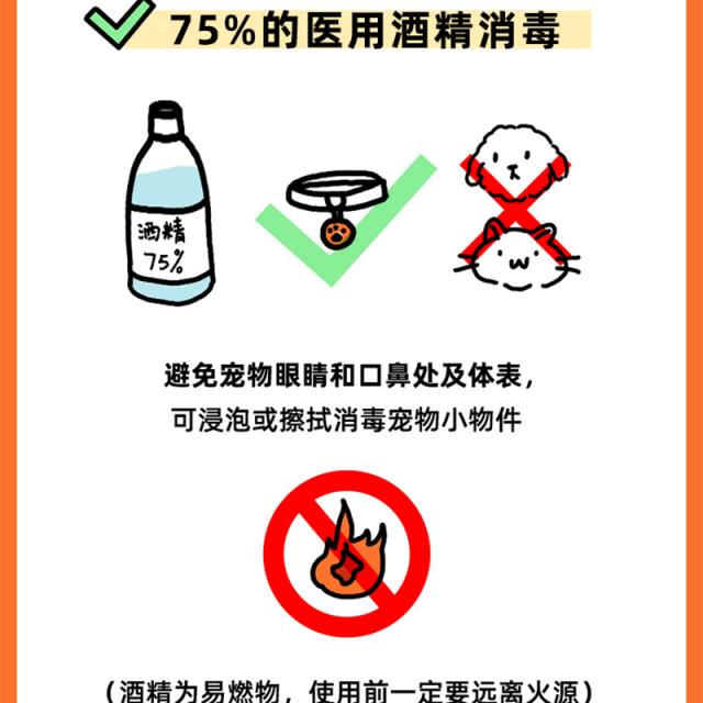 京东宠物宣布康健防护指南 做好6件事让你家宠物远离疾病困扰