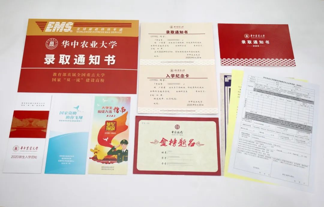 寒假介入实践,勾当体会_实践/p创新体会_社会实践体会征文