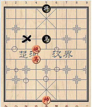 国际象棋形势判定_奈何举办形势判定_围棋/p软件形势判定