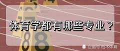 社会体育学温习资料 成都体育学院研究生入学测验体育社会学温习资料2