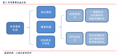 广东体育足球转播版权 [行业] 体育赛事媒体版权深度报道（57页）