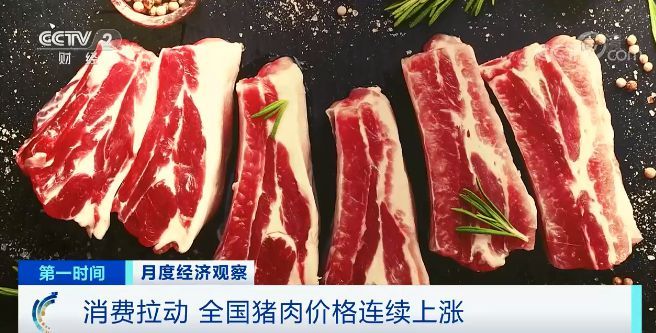 猪肉价涨涨涨 生猪期货跌跌跌 预示着什么？