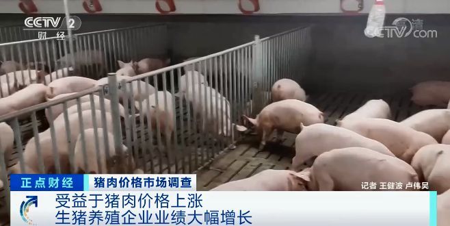 猪肉价涨涨涨 生猪期货跌跌跌 预示着什么？