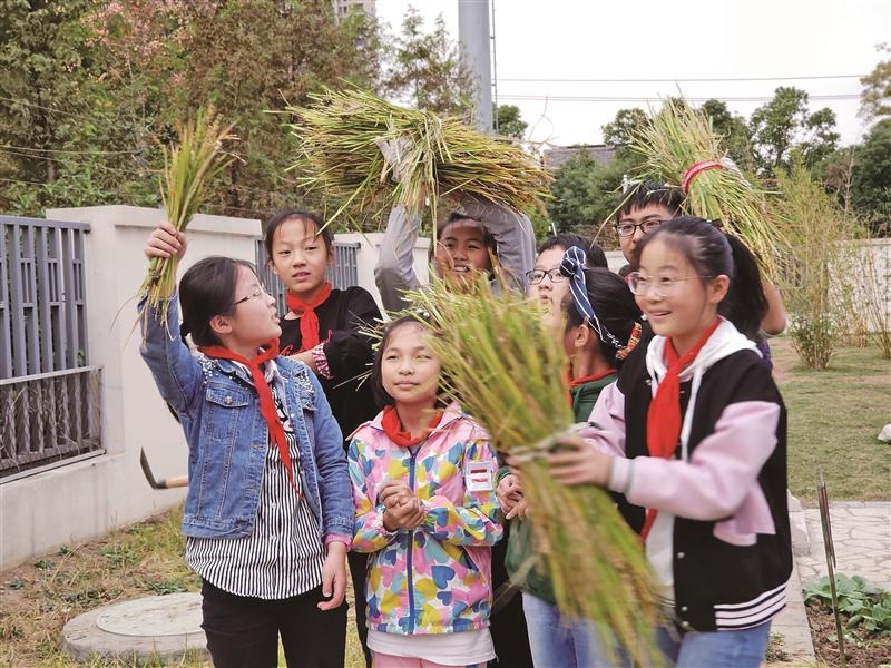 锡味劳动课酝酿升级