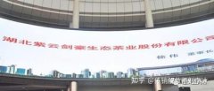 “红辰乐购”平台宣传“年入千万不是梦”？消息态