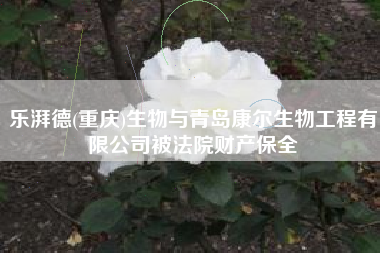 乐湃德(重庆)生物与青岛康尔生物工程有限公司被法院工业保全